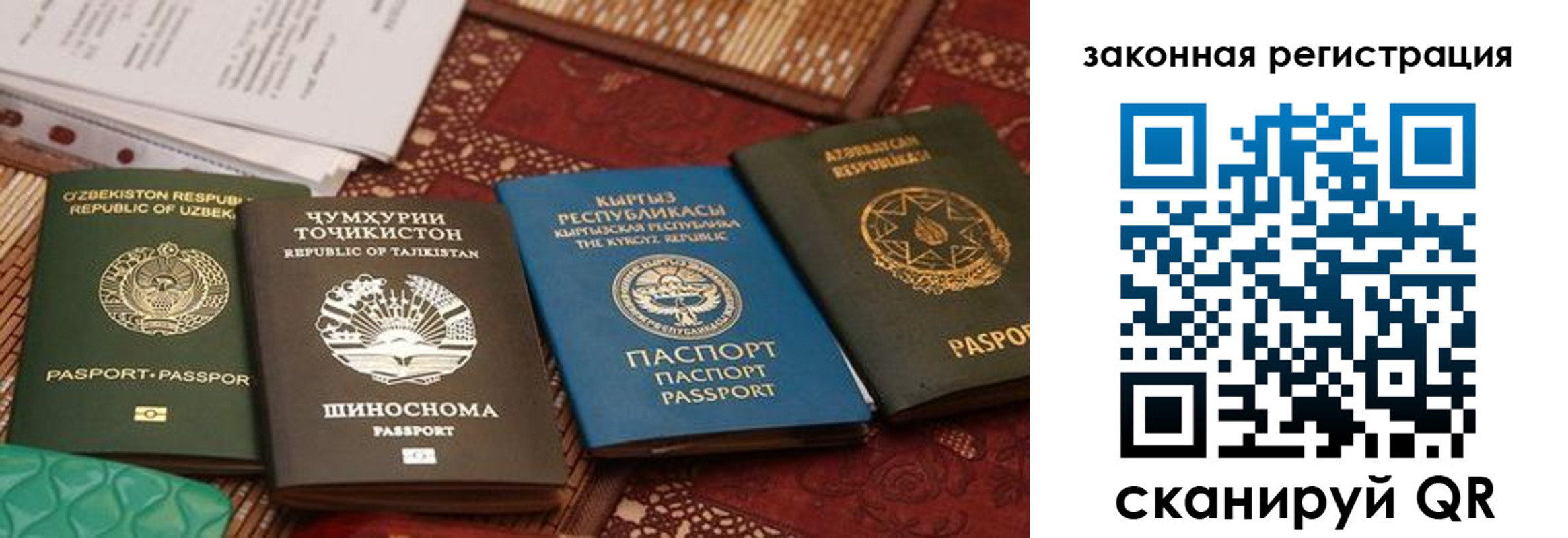 пропишу в квартире в Заволжье